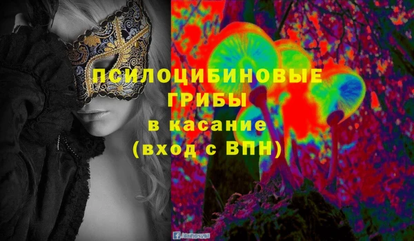 круглые Алзамай