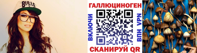 Псилоцибиновые грибы Psilocybe  Ухта 